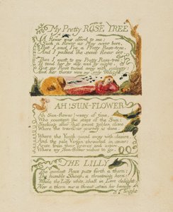 „Moje śliczne różane drzewo” i „Ach! Słonecznik” i „Lilia” z „Pieśni o doświadczeniu”, 1794 (akwaforta wypukła z kolorowaniem dłoni i akwarelą) autorstwa William Blake